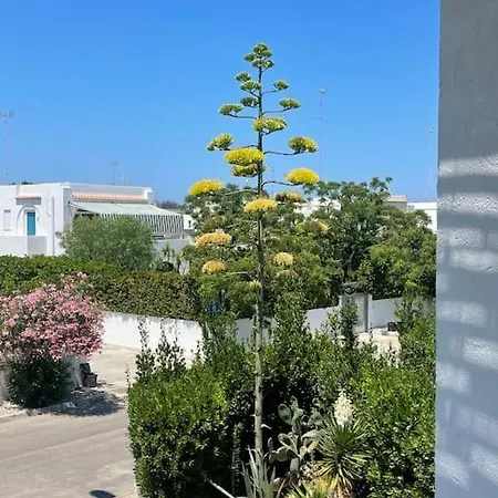 Διαμέρισμα Vistamare Rooftop San Cataldo (Apulia)