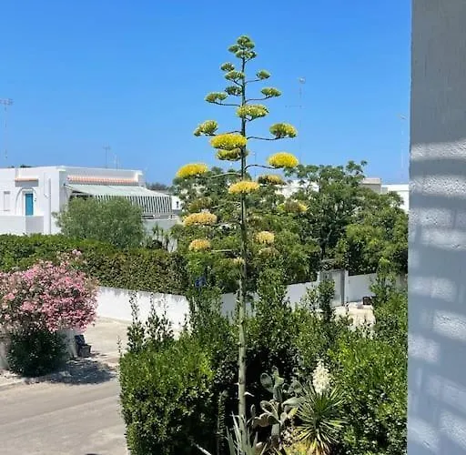 公寓 Vistamare Rooftop 圣卡塔尔多